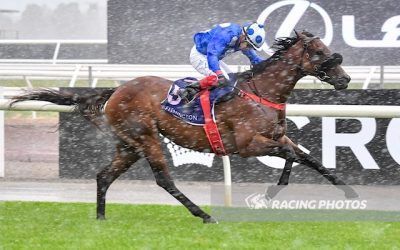 Wrote To Arataki Adds Another Group Race