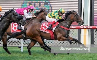 City Win For Icy Pole