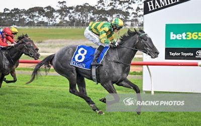 Hamilton Sass For Simply Sassy