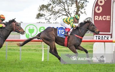 Another Win For Mister Businessman