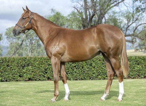 Un-named (Starspangledbanner - Catena)