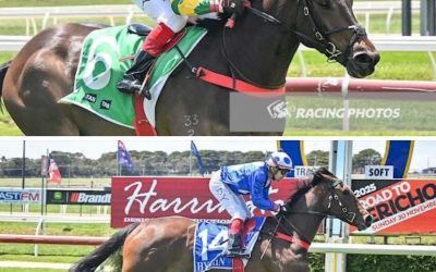 Stable Double At The Bool