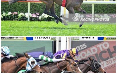 Jericho Double Delight