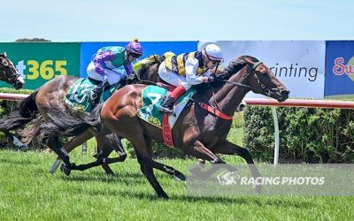 Maiden Win For Kingsford