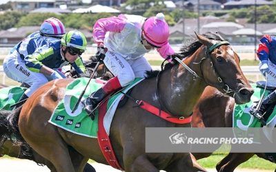 Home Track Maiden Win For Celestial Splendor