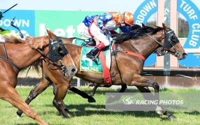 Another Win For All The Way Baby