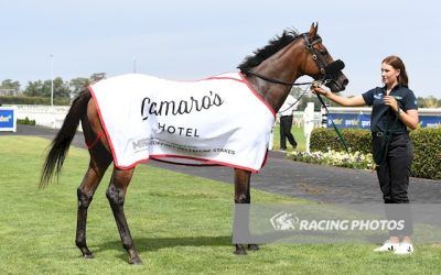 Second Ballmaine For Wrote