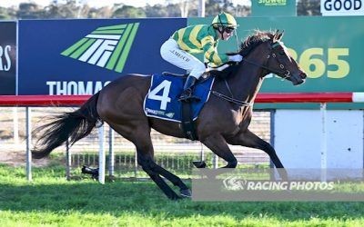 Icy Pole Wins First Up At Stawell