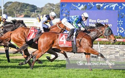 Bellonado Wins Torquay Cup