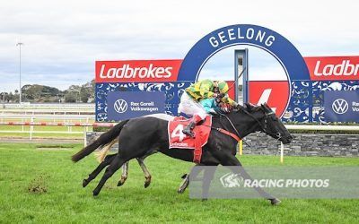 Bob Of The Head Win For Shades Of Stardom
