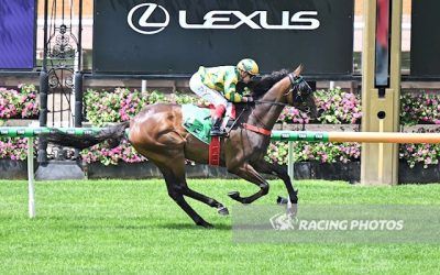 Flying Done Wins Racing Victoria Vobis Horse Of The Year