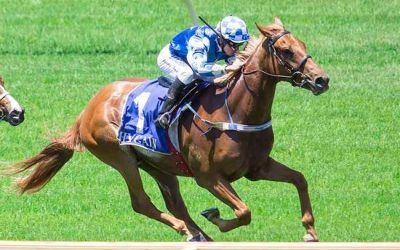 Prize Catch 3rd In G2 Perth Cup