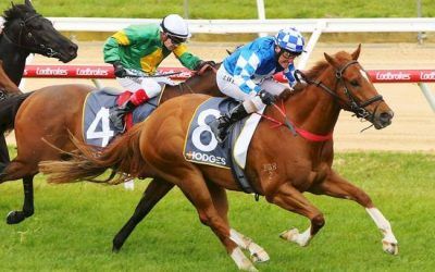 Stride Out Wins at Mornington!