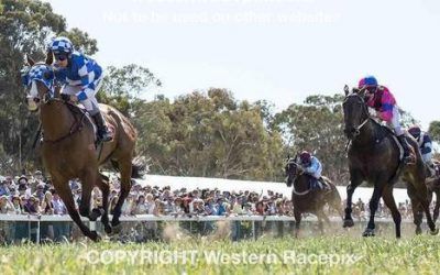 Our Pie ‘O’ My Wins At Toodyay!