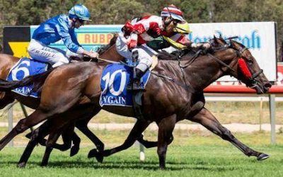 NEW HORSE FOR PERTH…