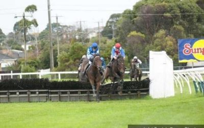 ELMS WINS AT THE ‘BOOL!