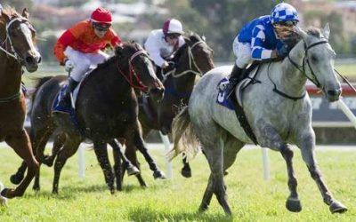 YAMUNOTRI WINS FIRST RACE IN PERTH!