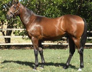 PERTH YEARLINGS HEAD EAST…