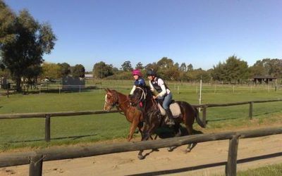 Shin Soreness in Young Racehorses…