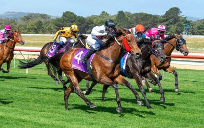 Showaddywaddy Wins At First Start For New Stable…