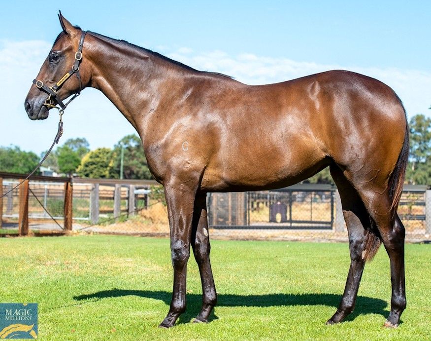 Pride Of Dubai – Chant Of God Filly