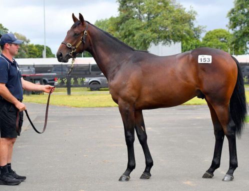 Un-named (Almanzor - No Tricks)