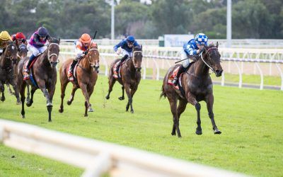 Desert Whisper Wins Again!