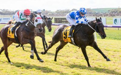 Romance Calling Chalks Up A 2yo Win!