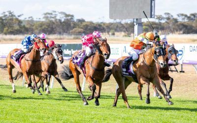 Daisy Makes It Two From Three!