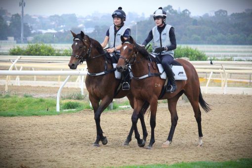 Un-named (Gingerbread Man - Glamouresque)