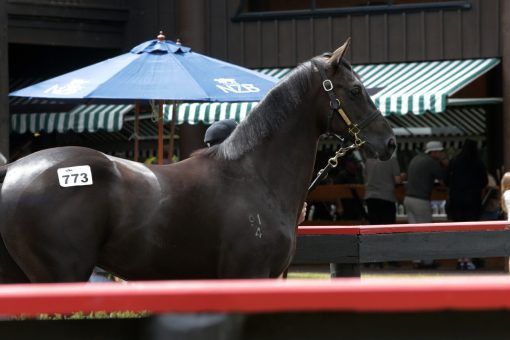 Un-named (Profondo - Head Over Boots)