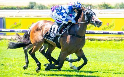 Back To Bondi Wins At Ascot!