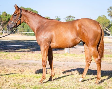 Un-named (Marine One - Bound Copy)