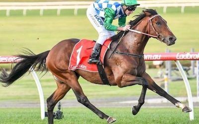 Fifty Stars Goes 4 Straight at Sandown