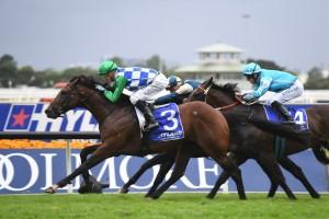 Fifty Stars raced into a Doncaster Mile