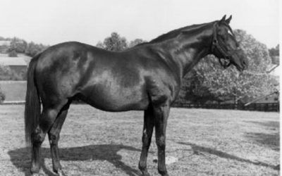 Rare Footage of Nasrullah arriving at Claiborne Farm in 1950