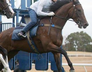 MOSCOW PEARL BACK IN WORK