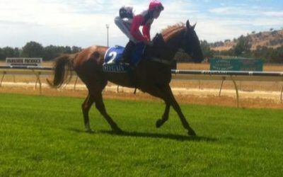 Another Winner for ZUPAONE