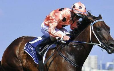 BLACK CAVIAR RETIRES WITH 25 WINS from 25 starts