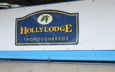 “HOLLYLODGE IS ON FIRE”