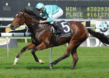 FAT AL – Returns to form today at Flemington