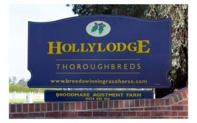 INCREASE YOUR FREQUENT FLYER POINTS AT HOLLYLODGE