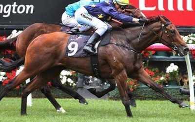 WANT TO ROCK WINS AT FLEMINGTON FIRST START