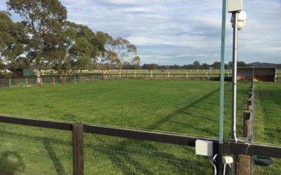 Foaling Yards Ready for 2017 at Hollylodge