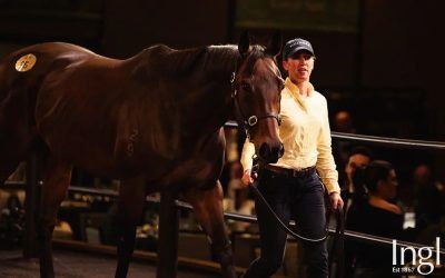 Fairytale ending for Amelia’s Jewel