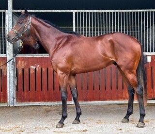 Un-named (Justify – Charmont)