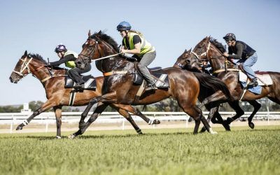 All remains on track for a return to racing | The Border Mail