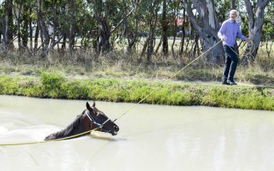 Dale praying for rain | The Border Mail