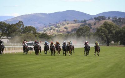 Albury Carnival Preview – Day Two | Andrew Dale Racing