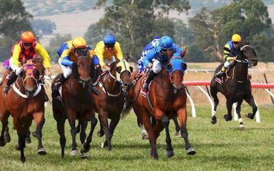 Albury Carnival Preview – Day One | Andrew Dale Racing